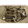 American Elk N Round Frame Premium Standard Sized Grips
