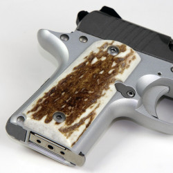 Kimber Micro .380 Elk