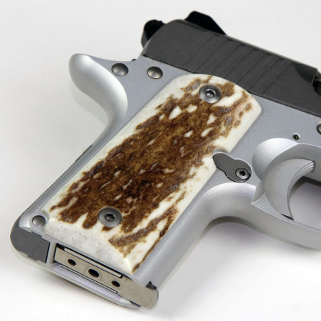 Kimber Micro .380 Elk